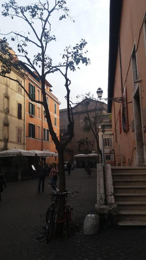 Cozy Studio In Trastevere * Roma